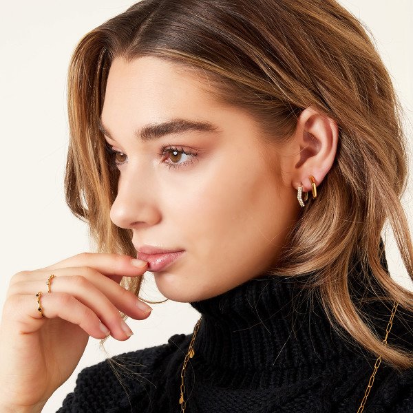Ombre Earrings