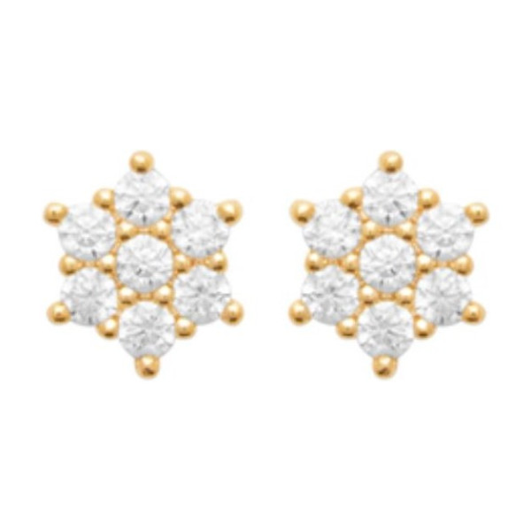 Flocon Earrings